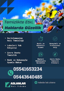 Aslanlar Kelebek Hali Yikama