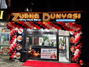 Zurna Dunyasi
