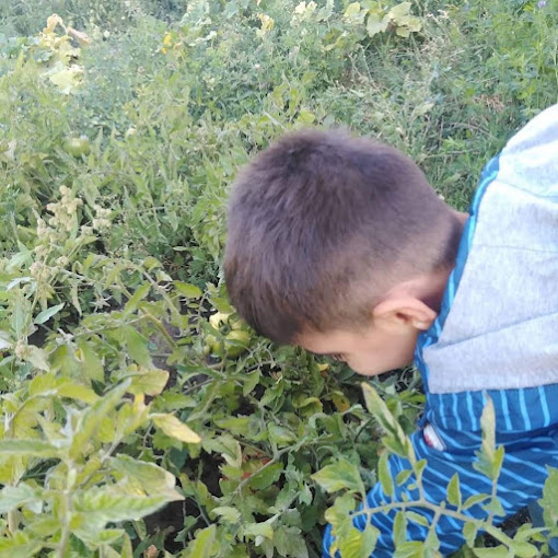 Yuksekova Ozel Doruk Yasam Kresi