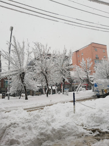 Yuksekova Municipality