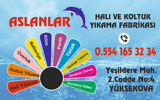 Aslanlar Kelebek Hali Yikama