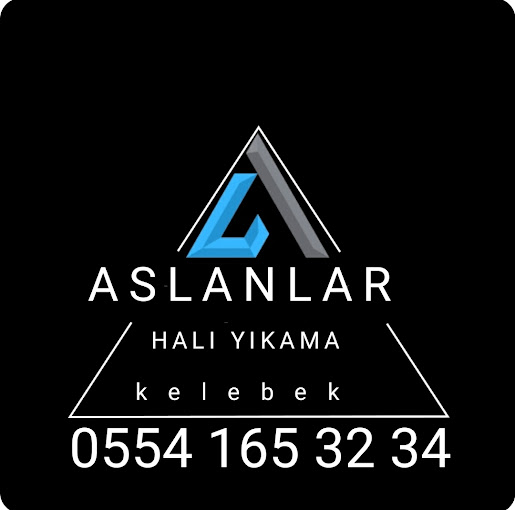 Aslanlar Kelebek Hali Yikama