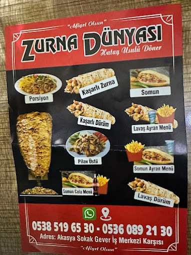 Zurna Dunyasi