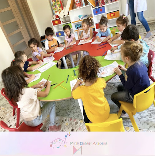 Ozel Minik Dahiler Akademi Anaokulu