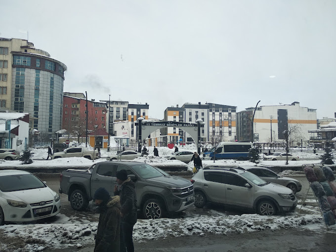 Aslanlar Kelebek Hali Yikama