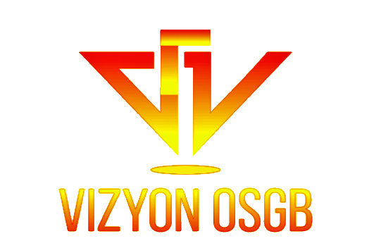 Vizyon Osgb