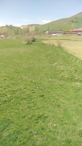 Efeler Karakolu
