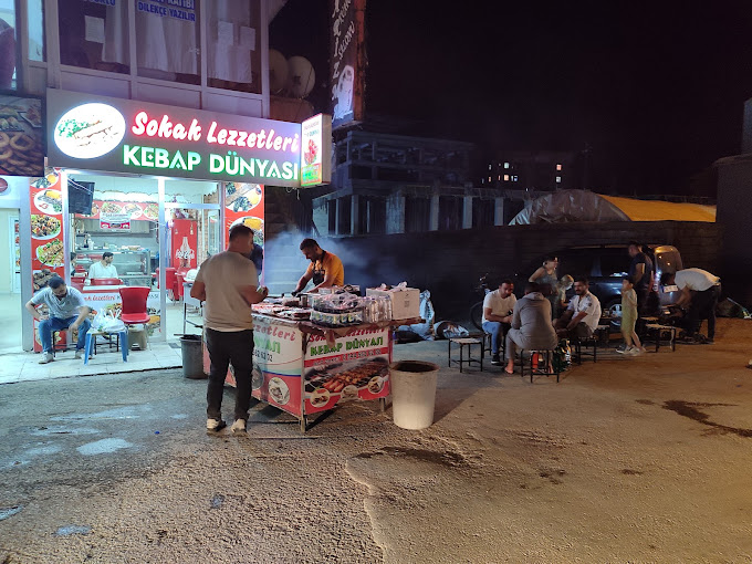 Sokak Lezzetleri Kebap Dunyasi