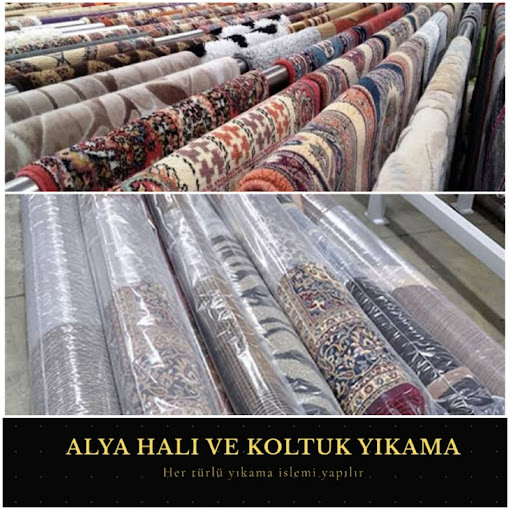 Alya Hali Yikama