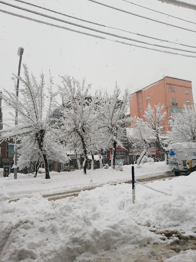 Yuksekova Municipality