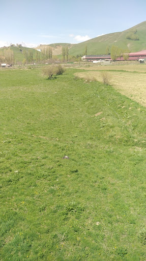 Efeler Karakolu