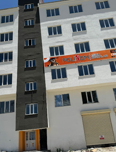 Polinom Egitim Kurumlari