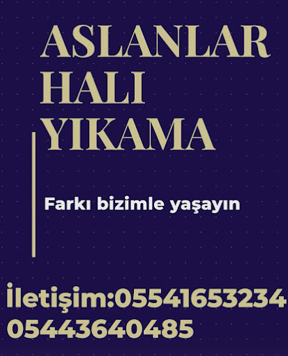Aslanlar Kelebek Hali Yikama