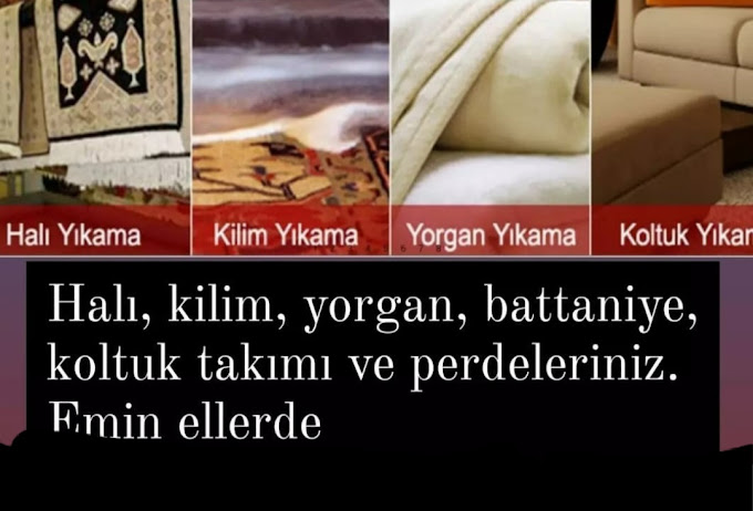 Alya Hali Yikama