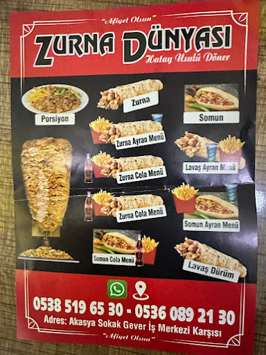 Zurna Dunyasi